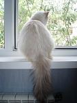     
: P5120014.jpg
: 24
:	78.8 
ID:	2667265