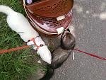     
: Фото-0091.jpg
: 17
:	193.4 
ID:	2667997