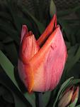     
: IMG_0892.JPG
: 6
:	51.1 
ID:	2671095