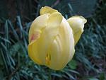     
: IMG_1494.JPG
: 4
:	53.1 
ID:	2671118