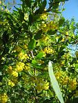     
: IMG_1708.JPG
: 7
:	132.4 
ID:	2671119