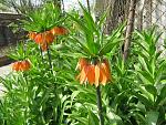     
: IMG_2376.JPG
: 4
:	132.7 
ID:	2671125