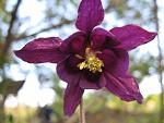     
: IMG_1715.JPG
: 3
:	59.8 
ID:	2671126