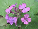     
: IMG_2488.JPG
: 7
:	69.8 
ID:	2671127