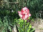     
: IMG_2514.JPG
: 6
:	145.0 
ID:	2671128