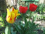     
: IMG_2508.JPG
: 7
:	132.5 
ID:	2671129