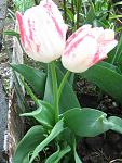     
: IMG_2622.JPG
: 6
:	87.1 
ID:	2671148