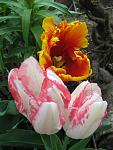     
: IMG_2681.JPG
: 6
:	68.1 
ID:	2671171