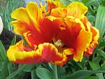     
: IMG_2624.JPG
: 3
:	65.1 
ID:	2671212