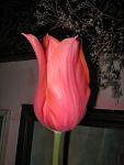     
: IMG_2803.JPG
: 5
:	60.2 
ID:	2671217