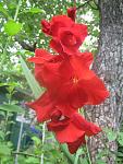     
: IMG_2724.JPG
: 4
:	78.2 
ID:	2671252