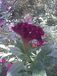     
: Image035.jpg
: 6
:	88.7 
ID:	2671254