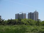     
: IMG_6321.jpg
: 171
:	150.4 
ID:	2671731
