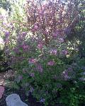     
: Фото055.jpg
: 24
:	172.5 
ID:	2672380