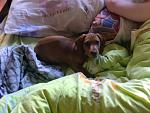     
: CIMG1140.JPG
: 21
:	124.4 
ID:	2673831