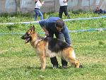     
: IMG_0159.JPG
: 41
:	176.0 
ID:	2677545