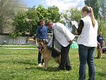     
: IMG_0170.JPG
: 44
:	169.3 
ID:	2677556