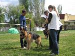     
: IMG_0171.JPG
: 43
:	163.1 
ID:	2677557