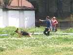     
: IMG_0175.JPG
: 45
:	133.0 
ID:	2677559