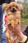     
: сынуля Лёвы.jpg
: 19
:	89.4 
ID:	2682941