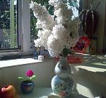     
: 22052011194.jpg
: 50
:	29.8 
ID:	2684593