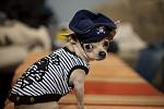     
: IMG_7006.jpg
: 33
:	83.9 
ID:	2684631