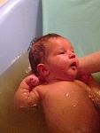     
: Фото0382.jpg
: 76
:	110.2 
ID:	2684643