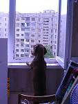     
: DSCN1278.jpg
: 31
:	104.8 
ID:	2685843