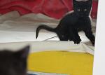     
: IMG_2506.jpg
: 24
:	32.4 
ID:	268683