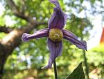     
: IMG_4922.JPG
: 11
:	68.7 
ID:	2687403
