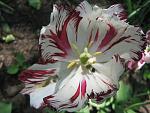     
: IMG_4916.JPG
: 9
:	72.7 
ID:	2687409