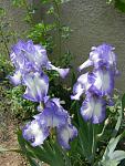     
: DSCN0117.jpg
: 13
:	113.8 
ID:	2687454