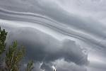     
: IMG_4309.JPG
: 90
:	145.0 
ID:	2687731