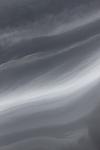     
: IMG_4332.JPG
: 84
:	51.3 
ID:	2687733