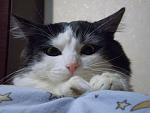     
: PC200570mini.jpg
: 15
:	93.6 
ID:	268844