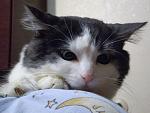     
: PC200571mini.jpg
: 14
:	100.5 
ID:	268847