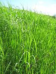     
: IMG_1658.JPG
: 9
:	161.9 
ID:	2692016
