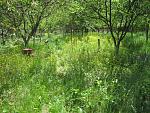     
: IMG_1639.JPG
: 15
:	185.6 
ID:	2692017