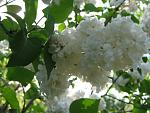     
: IMG_1712.JPG
: 10
:	73.7 
ID:	2692018
