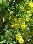     
: IMG_1709.JPG
: 11
:	88.6 
ID:	2692021