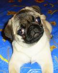     
: x_46d3f276.jpg
: 97
:	36.8 
ID:	269908
