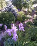     
: Фото008.jpg
: 32
:	170.4 
ID:	2699397