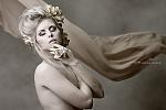     
: IMG_5700.jpg
: 20
:	93.4 
ID:	2701071