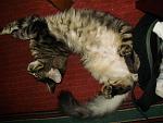     
: by2.JPG
: 15
:	61.1 
ID:	2703726