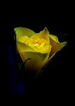     
: R1.jpg
: 15
:	25.7 
ID:	2703881