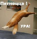     
: 16ece39222d8.jpg
: 5
:	24.4 
ID:	2704512