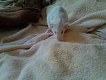     
: Фото0142.jpg
: 23
:	112.5 
ID:	2705625