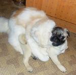     
: x_1819e1c6.jpg
: 43
:	42.9 
ID:	270774
