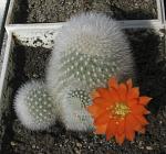     
: IMG_49471.jpg
: 7
:	163.1 
ID:	2709665