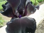     
: S4024908.jpg
: 18
:	116.4 
ID:	2711360